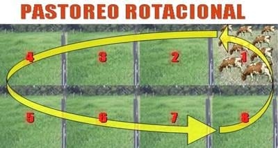 Las Leyes Universales de André Voisin para el Pastoreo Racional - Image 3