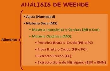 Nutrición Bovina Estratégica: ¿gasto o inversión? - Image 9