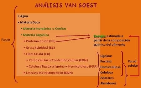 Nutrición Bovina Estratégica: ¿gasto o inversión? - Image 10