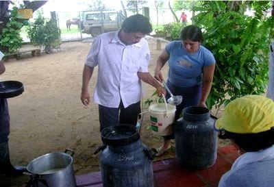 Practicando en la Finca: Como medir Producción y Productividad - Image 1