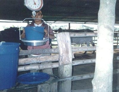 Practicando en la Finca: Como medir Producción y Productividad - Image 2