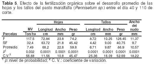 Pasto Maralfalfa: Mitos y Realidades (Parte Primera) - Image 9