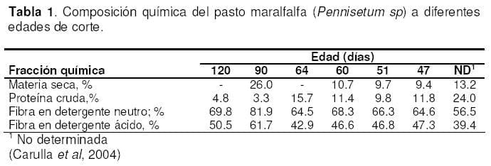 Pasto Maralfalfa: Mitos y Realidades (Parte Primera) - Image 2