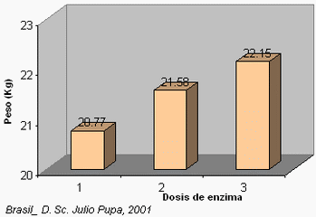 Las enzimas exógenas: Insumos básicos para la fabricación del alimento balanceado para animales. - Image 2