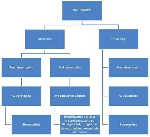 Algunas consideraciones para la interpretación serológica en Elisa - Image 19