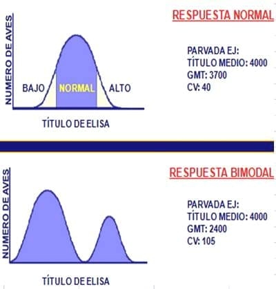 Algunas consideraciones para la interpretación serológica en Elisa - Image 10