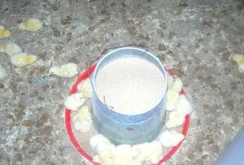 Calidad de Pollito bb afectado desde la incubadora, Caso - Image 26