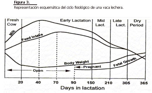 Extractos de plantas como modificadores de Rumen para mejorar la productividad en vacas lecheras - Image 6