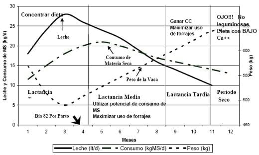 Alimentación para aumentar la leche invernal - Image 1