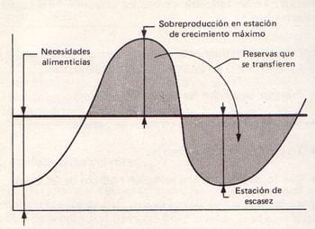 Elaboración de Bloque Multinutricional - Image 1