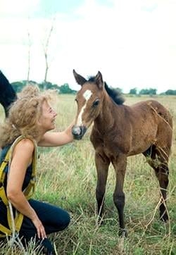 Caballos Homeopatizados - Image 3