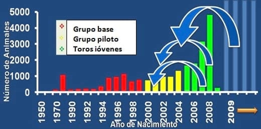 Aumento en la producción de ganado bovino de carne con la utilización de prótesis dentales bovinas - Image 8