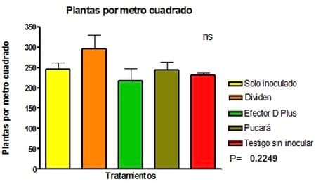 Evaluación de la interacción entre inoculantes y curasemillas en el cultivo de trigo - Image 3