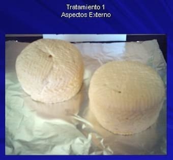 Selección y utilización de tres tipo de latobacilos con levaduras kliveromisis lactis sp fragilis para la elaboracion de queso palmita con características organolépticas similares a los de los palmitas comerciales - Image 11