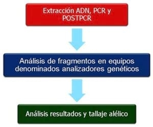 Harina de plumas: Hidrólisis enzimática vs método convencional - Image 2