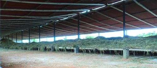 Alimentación ovicaprina: El Heno - Image 1