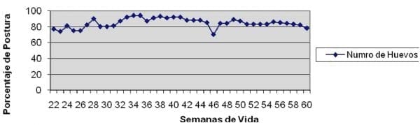 Nuevos casos de enfermedad de Marek en Argentina. Estudios preliminares - Image 2