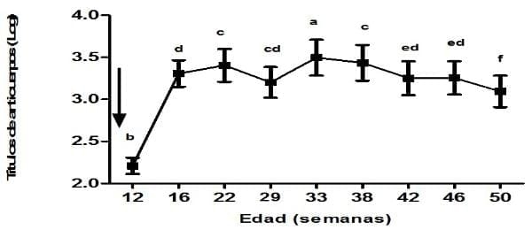 Evidencia serológica en Cuba de la circulación de Ornitobacterium Rhinotracheale en gallinas ponedoras con síndrome respiratorio crónico - Image 3