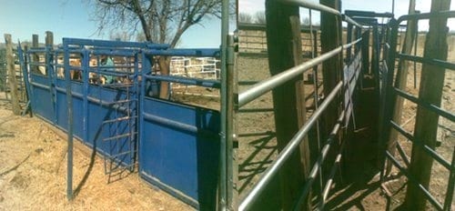 Corrales de Manejo III - Image 3