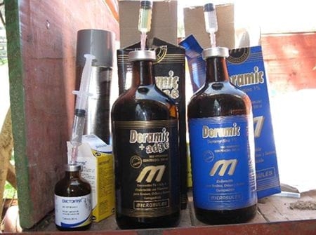 Evaluación de formulaciones de doramectina inyectable en el control de miasis natural por cochliomya hominivorax en bovinos sometidos a castración. - Image 7