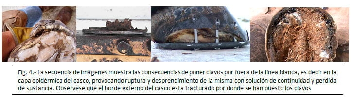 Cascos grandes: ¿Paradigma insalvable? - Image 7