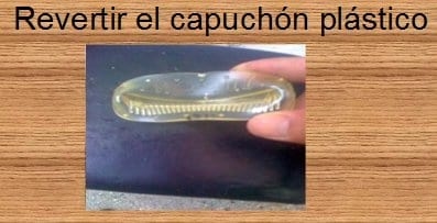 Aumento en la producción de ganado bovino de carne con la utilización de prótesis dentales bovinas - Image 2