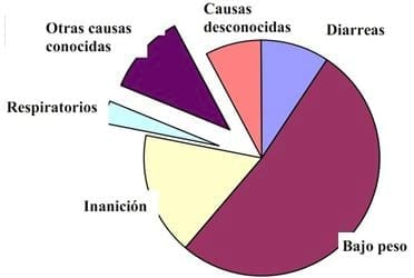 Prácticas alimenticias en lechones en lactación y post – destete - Image 2