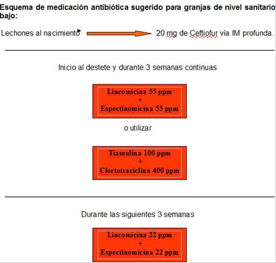 Selección y utilización de tres tipo de latobacilos con levaduras kliveromisis lactis sp fragilis para la elaboracion de queso palmita con características organolépticas similares a los de los palmitas comerciales - Image 12