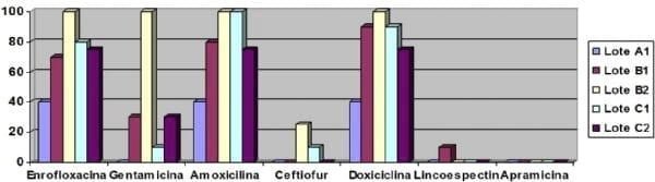 Diseminación en la sala de incubación de clones de escherichia coli: aislamiento a partir de médula ósea y resistencia a gentamicina - Image 1