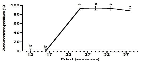 Evidencia serológica en Cuba de la circulación de Ornitobacterium Rhinotracheale en gallinas ponedoras con síndrome respiratorio crónico - Image 2