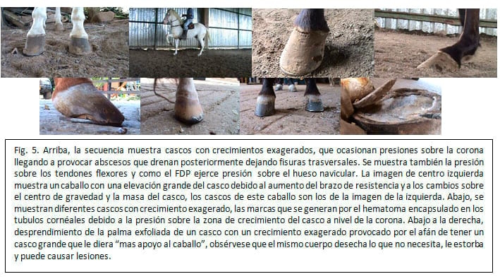 Cascos grandes: ¿Paradigma insalvable? - Image 9