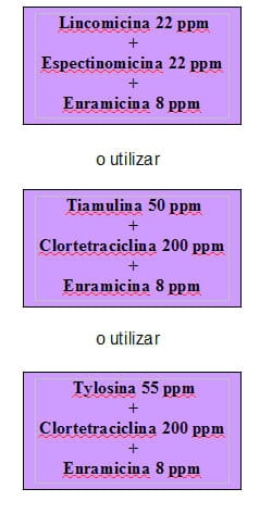 Estrategias antibioticas para el control de Enfermedades bacterianas respiratorias y entericas mas comunes en granjas porcinas - Image 10