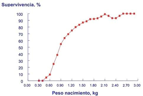 Prácticas alimenticias en lechones en lactación y post – destete - Image 6