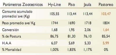 Evaluacion del bienestar animal y comparación de los parámetros productivos en gallinas ponedoras de la linea Hy-line Brown en tres modelos de producción piso, jaula y pastoreo - Image 3