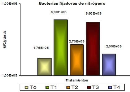 Evaluación de la interacción entre inoculantes y curasemillas en el cultivo de trigo - Image 6