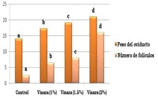 Vinaza de destilería como aditivo alternativo en la alimentación de las aves - Image 1