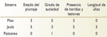 Evaluacion del bienestar animal y comparación de los parámetros productivos en gallinas ponedoras de la linea Hy-line Brown en tres modelos de producción piso, jaula y pastoreo - Image 1