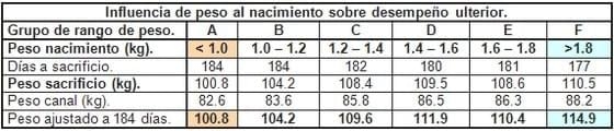 Los malos entendidos en el uso de pre-iniciadores. - Image 11