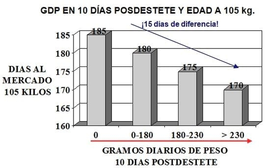 Reporte de casos de hematuria enzoótica bovina por ingestión de pteridium arachnoideum en la región ganadera de San Miguel de Bolívar, Ecuador - Image 8