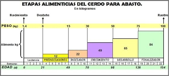 Los malos entendidos en el uso de pre-iniciadores. - Image 1