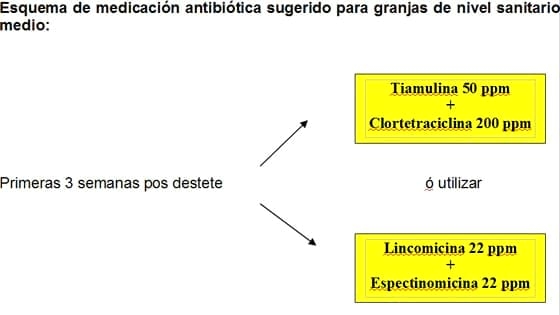 Ensayo de suplementación estratégica en ovejas - Image 9
