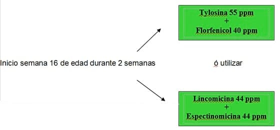 Estrategias antibioticas para el control de Enfermedades bacterianas respiratorias y entericas mas comunes en granjas porcinas - Image 4