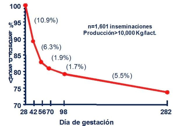 Diagnóstico temprano y confirmación de la gestación… estrategias fundamentales para asegurar el éxito reproductivo - Image 3