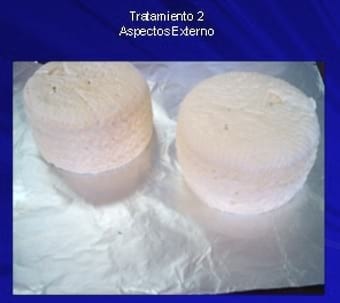 Selección y utilización de tres tipo de latobacilos con levaduras kliveromisis lactis sp fragilis para la elaboracion de queso palmita con características organolépticas similares a los de los palmitas comerciales - Image 13