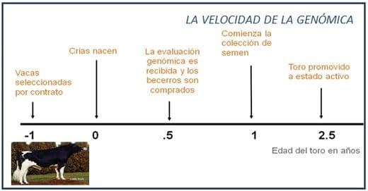 La selección genómica requerirá un flujo continúo de información - Image 8