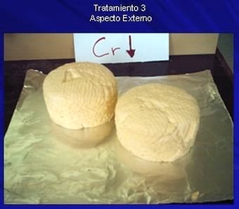 Selección y utilización de tres tipo de latobacilos con levaduras kliveromisis lactis sp fragilis para la elaboracion de queso palmita con características organolépticas similares a los de los palmitas comerciales - Image 15