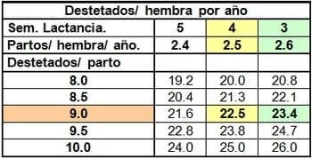 Los malos entendidos en el uso de pre-iniciadores. - Image 6