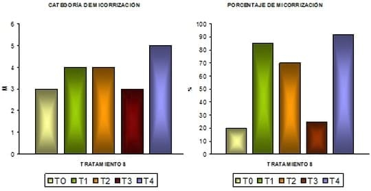 Evaluación de la interacción entre inoculantes y curasemillas en el cultivo de trigo - Image 7