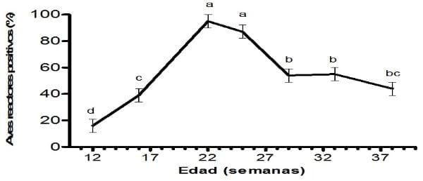 Evidencia serológica en Cuba de la circulación de Ornitobacterium Rhinotracheale en gallinas ponedoras con síndrome respiratorio crónico - Image 1