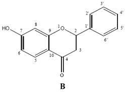 Compuestos Antifúngicos de origen vegetal para el control de patógenos de fin de ciclo asociados en Soja - Image 2
